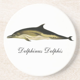 Delfin Delphinus Delphis, Vintage Meereslebewesen Sandstein Untersetzer