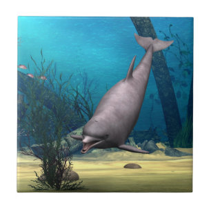 Delfin Fliese