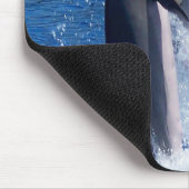 Delfin-Fotodesign Mousepad (Ecke)