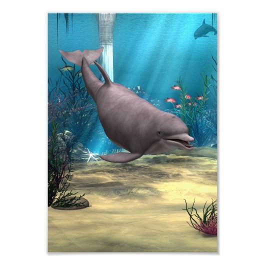Delfin Fotodruck (Vorne)