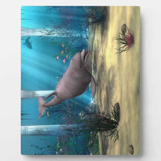 Delfin Fotoplatte (Vorderseite)