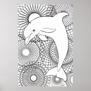 Delfin Freude Poster