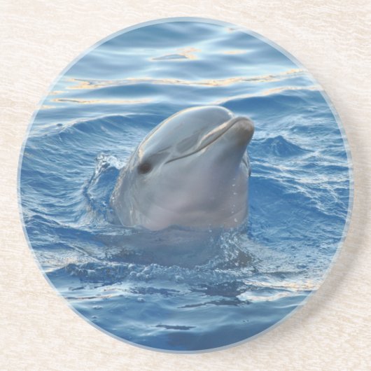 Delfin Getränkeuntersetzer (Vorne)