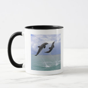 Delfin (groberes Tuemmler) Tasse