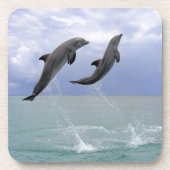 Delfin (groberes Tuemmler) Untersetzer (Vorderseite)