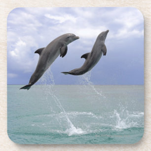 Delfin (groberes Tuemmler) Untersetzer