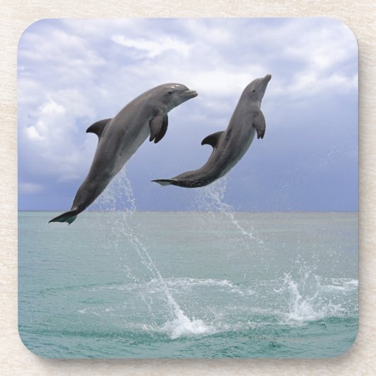 Delfin (groberes Tuemmler) Untersetzer (Vorderseite)