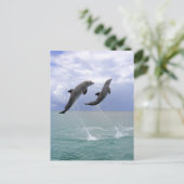 Delfin (Großer Tuemmler) Postkarte (Stehend Vorderseite)