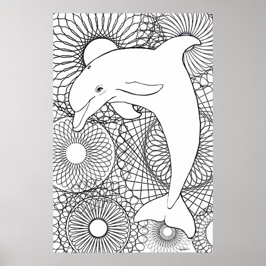 Delfin-Harmonie Poster (Vorne)