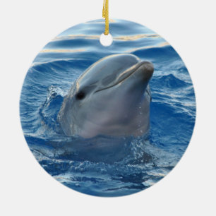 Delfin Keramik Ornament
