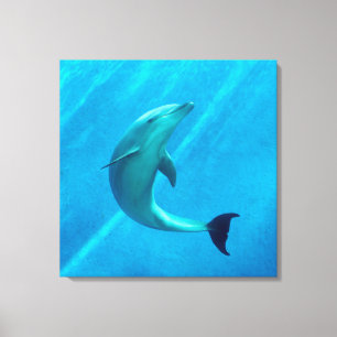 Delfin Leinwanddruck