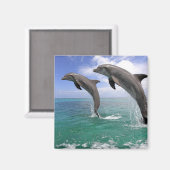 Delfin Magnet (Vorderseite/Rückseite)