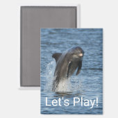 Delfin Magnet (Vorderseite/Rückseite)