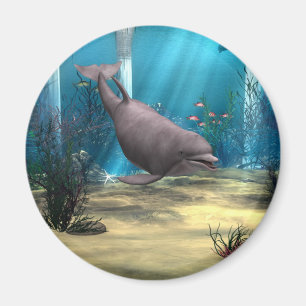 Delfin Magnet