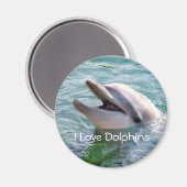 Delfin Magnet (Vorderseite/Rückseite)