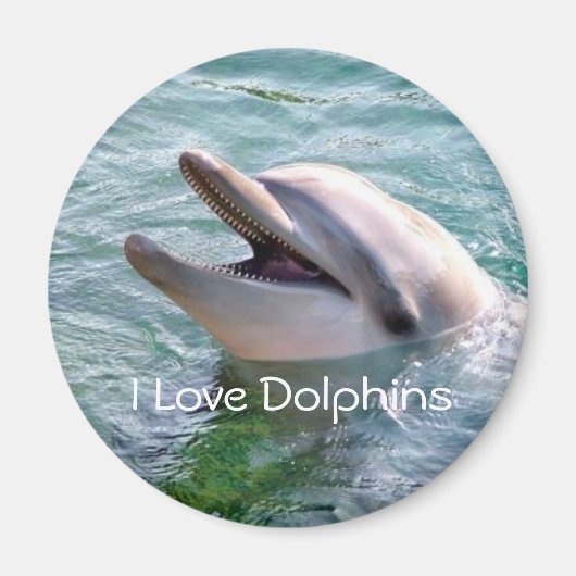 Delfin Magnet (Vorne)