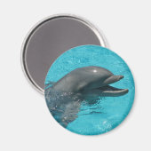 Delfin Magnet (Vorderseite/Rückseite)