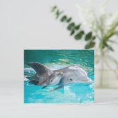 Delfin mit Kalb Postkarte (Stehend Vorderseite)