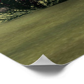 Delfin Poster (Ecke)