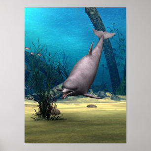 Delfin Poster