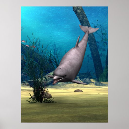 Delfin Poster (Vorne)