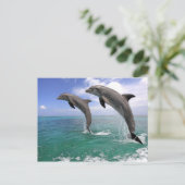 Delfin Postkarte (Stehend Vorderseite)