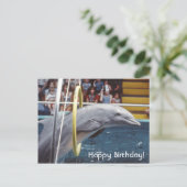Delfin Postkarte (Stehend Vorderseite)