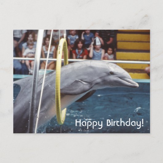 Delfin Postkarte (Vorderseite)