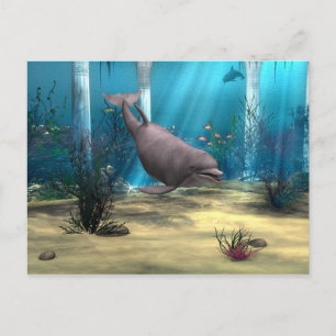 Delfin Postkarte