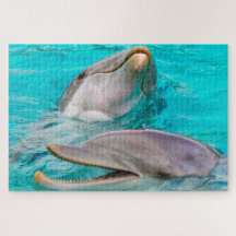 Delfin