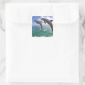 Delfin Quadratischer Aufkleber (Tasche)