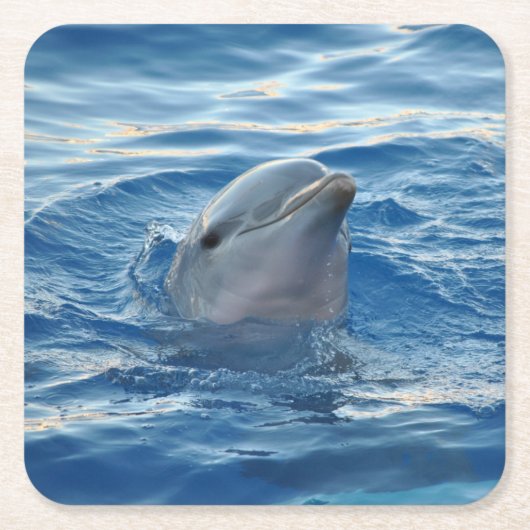 Delfin Rechteckiger Pappuntersetzer (Vorderseite)