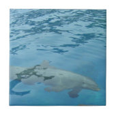 Delfin schwimmt durch klares blaues Wasser Fliese (Vorderseite)