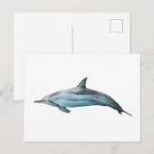 Delfin Spinner Postkarte (Vorne/Hinten)