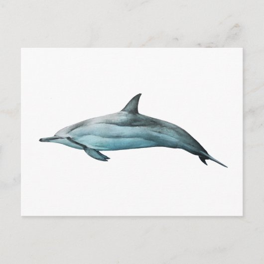 Delfin Spinner Postkarte (Vorderseite)