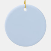 Delfin Splash   Keramik Ornament (Hinten)