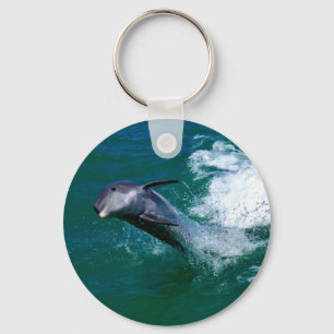 Delfin springt und tanzt schlüsselanhänger