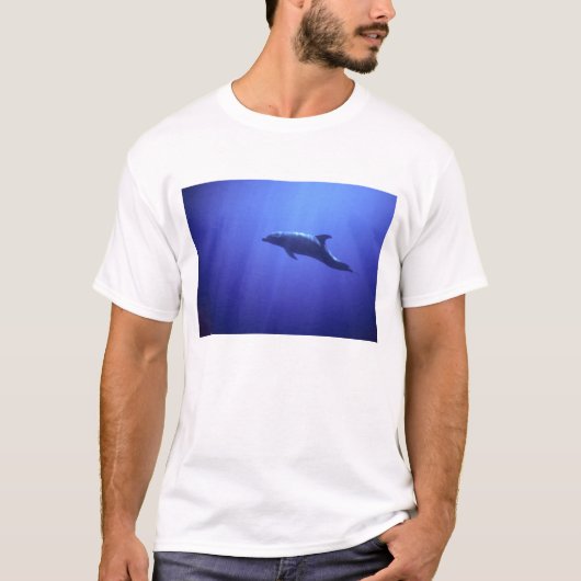 Delfin T-Shirt (Vorderseite)