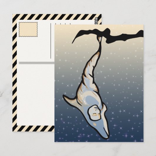 Delfincocoon Postkarte (Vorne/Hinten)