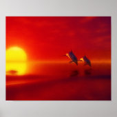 Delfine bei Sonnenuntergang Poster (Vorne)