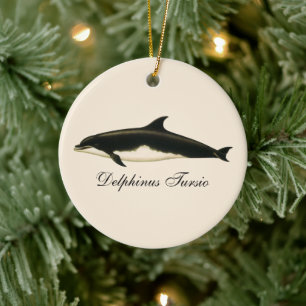 Delfine Delphinus Tursio, Vintage Meereslebewesen Keramik Ornament