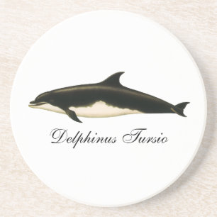 Delfine Delphinus Tursio, Vintage Meereslebewesen Sandstein Untersetzer