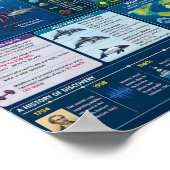 Delfine Infografik Poster (Ecke)