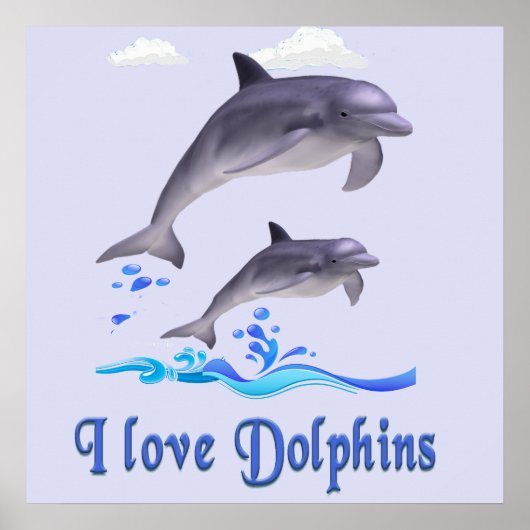 Delfine Poster (Vorne)