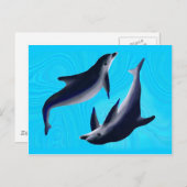 Delfine Postkarte (Vorne/Hinten)