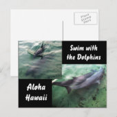 Delfine von Hawaii Postkarte (Vorne/Hinten)