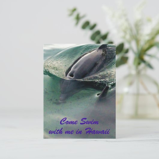 Delfine von Hawaii Postkarte (Stehend Vorderseite)