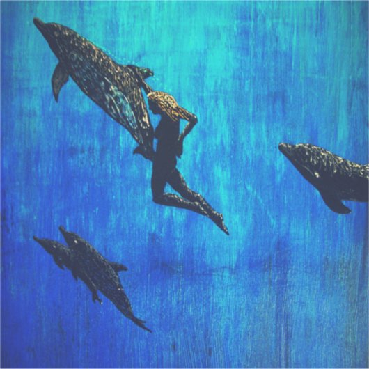 Delfine zur Rettung Aufkleber (Vorderseite)