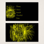 Delfinparim Sonnenschein (Vorne & Hinten)