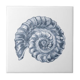 Delft Blue Ammonite Sea Muschel Nautic Beach House Fliese